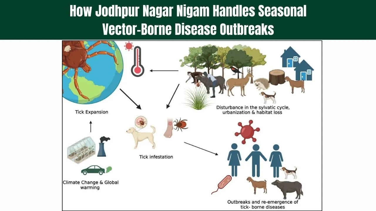 How Jodhpur Nagar Nigam Handles Seasonal Vector-Borne Disease Outbreaks