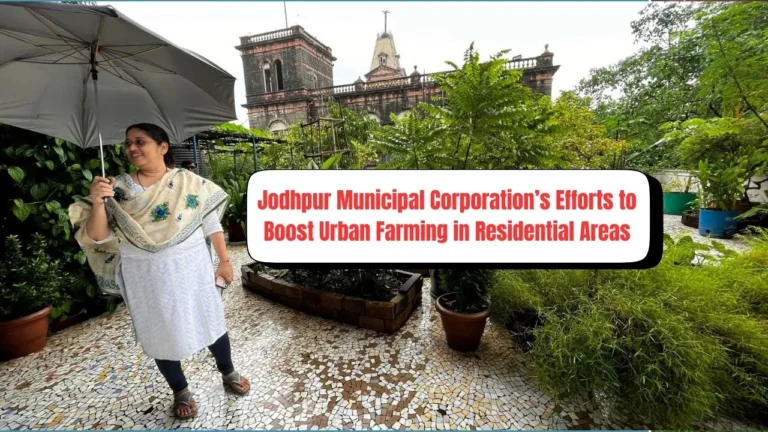 Jodhpur Municipal Corporation’s Efforts to Boost Urban Farming in Residential Areas