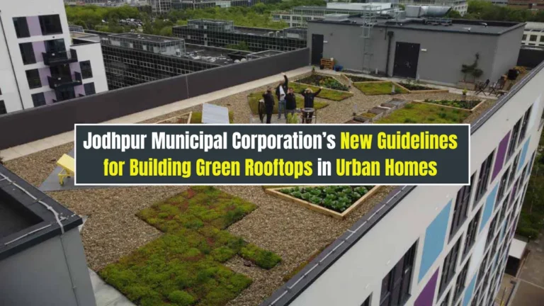 Jodhpur Municipal Corporation’s New Guidelines for Building Green Rooftops in Urban Homes