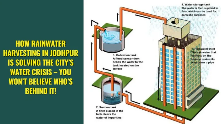 Jodhpur Municipal Corporation’s Role in Promoting Rainwater Harvesting in Urban Homes