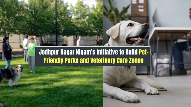 Jodhpur Nagar Nigam’s Initiative to Build Pet-Friendly Parks and Veterinary Care Zones