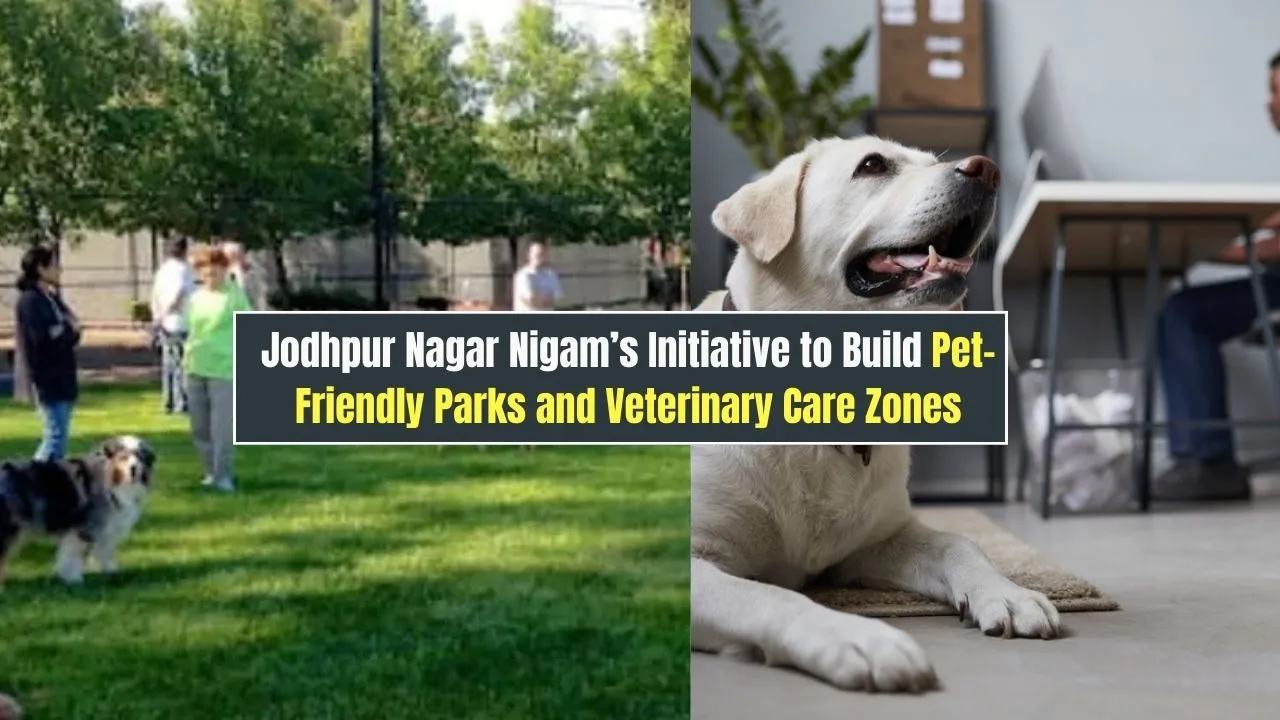 Jodhpur Nagar Nigam’s Initiative to Build Pet-Friendly Parks and Veterinary Care Zones