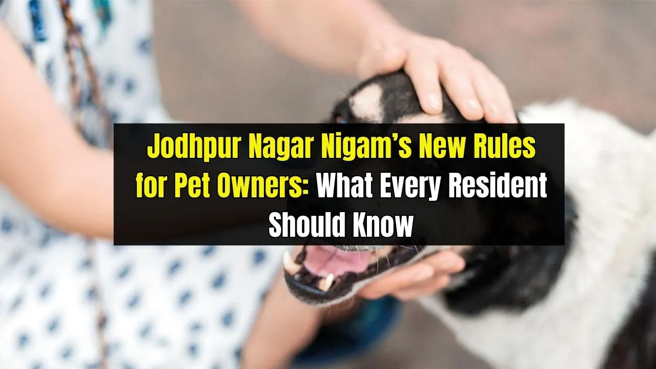 Jodhpur Nagar Nigam’s New Rules for Pet Owners