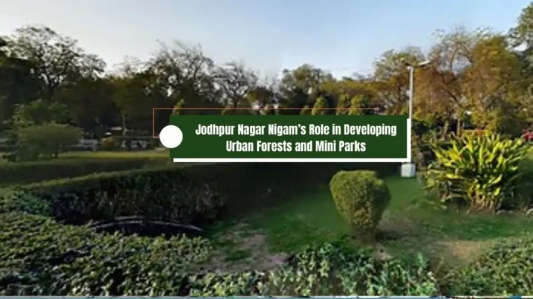 Jodhpur Nagar Nigam’s Role in Developing Urban Forests and Mini Parks