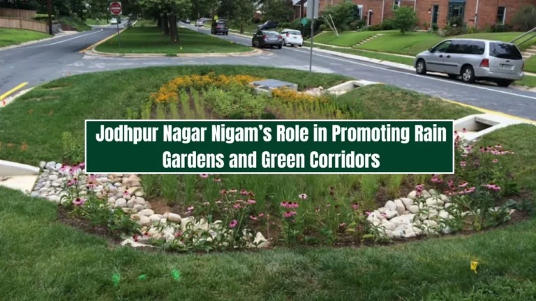 Jodhpur Nagar Nigam’s Role in Promoting Rain Gardens and Green Corridors