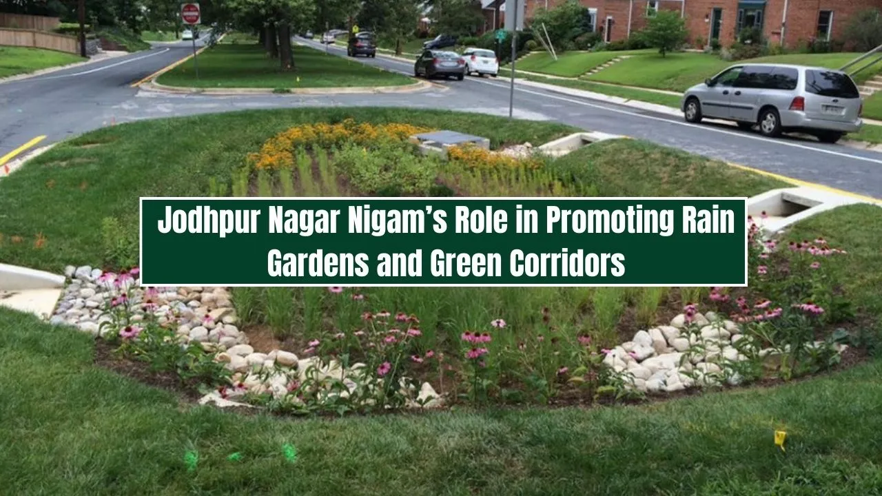 Jodhpur Nagar Nigam’s Role in Promoting Rain Gardens and Green Corridors