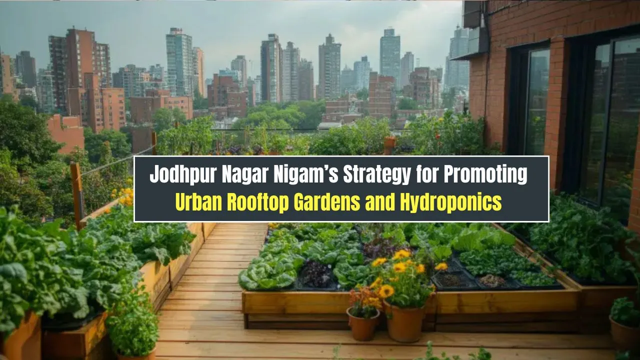 Promoting Urban Rooftop Gardens and Hydroponics